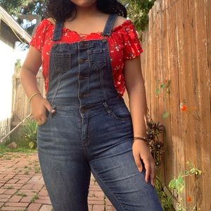 Vintage Overalls
